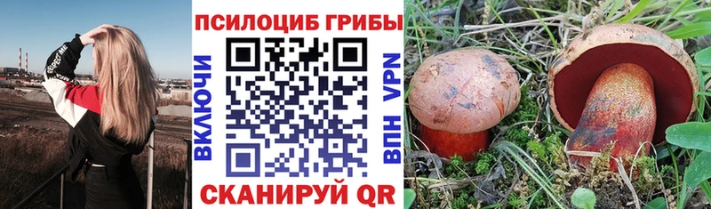 нарко площадка телеграм  Елизаветинская  Псилоцибиновые грибы прущие грибы  сколько стоит 